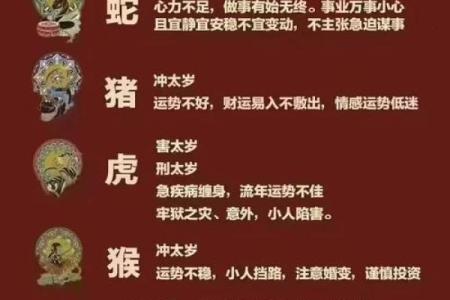 太岁是什么 犯太岁是什么意思