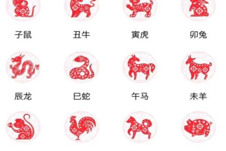 已年是属什么生肖 巳年属什么生肖