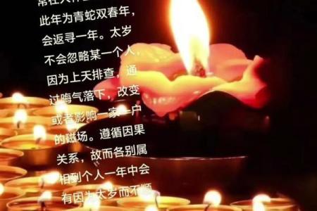 何为太岁 何为太岁年