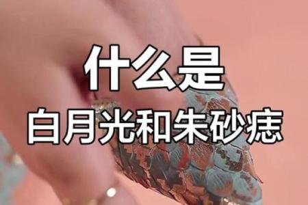 朱砂痣与白月光 什么是朱砂痣与白月光