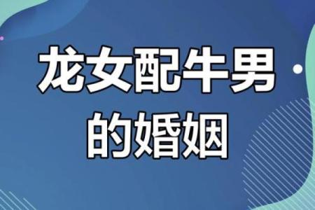 牛男和猪女的属相合不合 牛男和猪女相冲吗