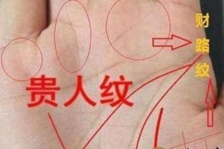 看相网(看相网名怎么起好听)