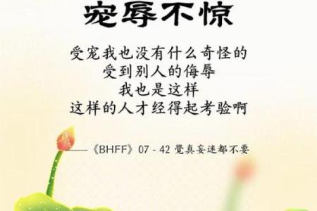 命硬的三大生肖 命硬的人是怎样的