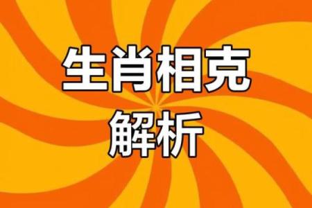 男鼠和女蛇属相合不合 男鼠和女蛇属相合不合婚姻