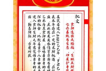 属鼠人2025年运势详解，财运和事业运会有突破吗？