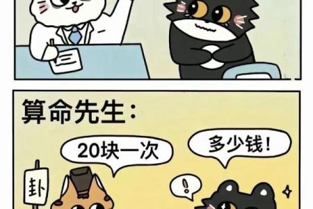 算命要问些什么 算命都要问些什么