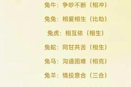 两个属兔的人合不合 两个属兔的人在一起好不好