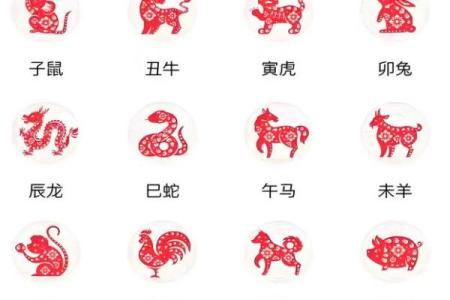 点石成金打一正确生肖(点石成金打一正确生肖和数字)