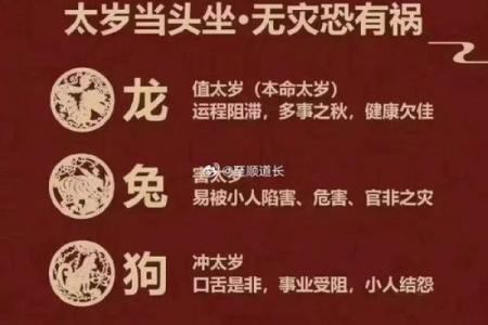 1972年出生的生肖鼠在2025年运势如何？需要注意哪些方面才能趋吉避凶？