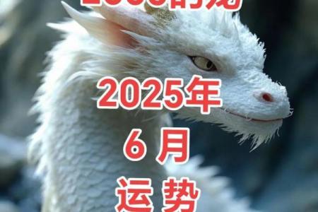 2000年属龙男孩姻缘在哪一年 2000年属龙男孩姻缘在哪一年左凤绵