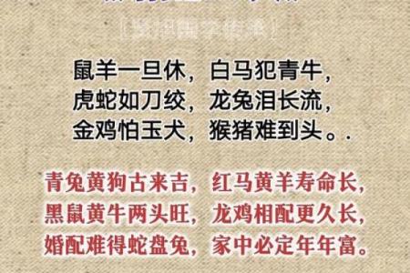 12属相婚配宜与不宜表 12属相婚配口诀
