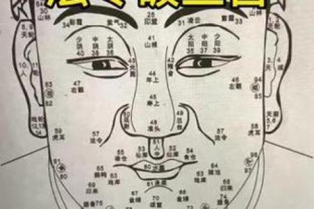 周易算命面相(周易算命网)
