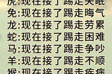 想了解出神入化代表什么动物，生肖文化中如何解释