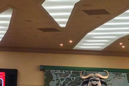 两面三刀是什么生肖(两面三刀是什么生肖澳门)