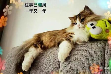 拂袖而起打一正确动物(拂袖而走)
