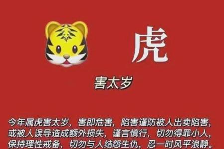 大的生肖是哪几个生肖 大,是什么生肖