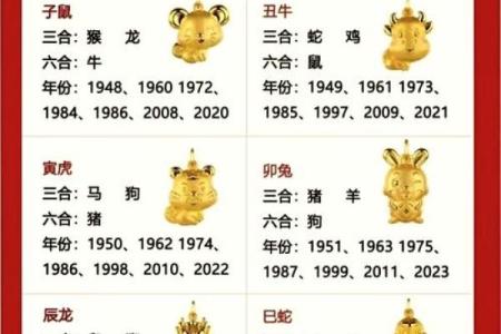 2016年生肖是什么 2016年生肖是什么属性的生肖
