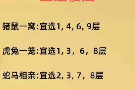眼高手低的动物是什么生肖 眼高手低打一生肖最佳答案