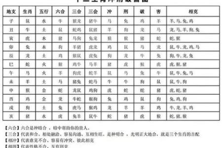 龙虎属相婚配好不好 98年的虎和00年的龙相配吗