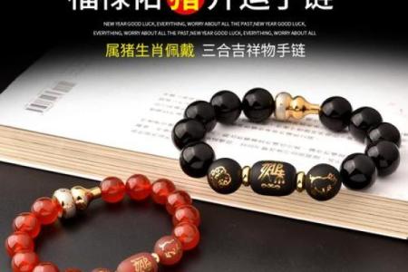 属猪三合属相 属猪三合属相