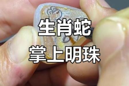 掌上明珠是什么生肖打一肖(掌上明珠属于什么生肖)