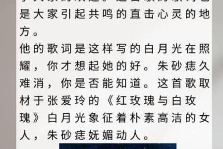 歌曲白月光朱砂痣 歌曲白月光朱砂痣歌词