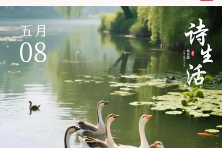 泛舟五湖是什么生肖(泛舟五湖上 诗句)