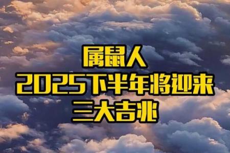 2025年属鼠的人虚岁和周岁分别怎么算具体方法