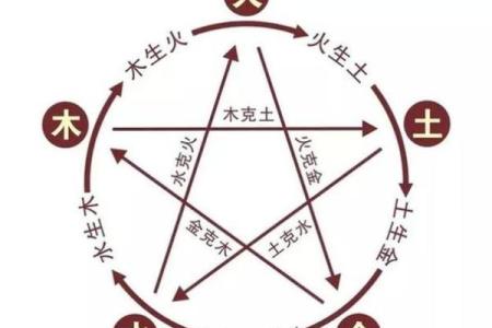 2023年是属什么(2023年是属什么年金木水火土)