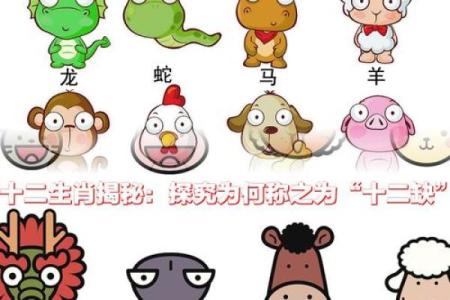 虎女鼠男的属相合不合 虎鼠不结亲是什么意思
