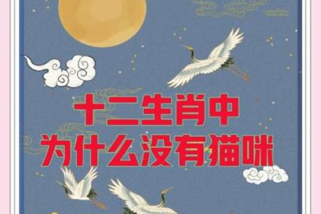 不能养猫的人属相 不能养猫的人属相是什么