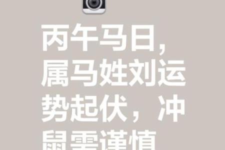 ‌威风凛凛的三大生肖 → 虎龙马（虎啸龙腾，马踏雷霆）‌