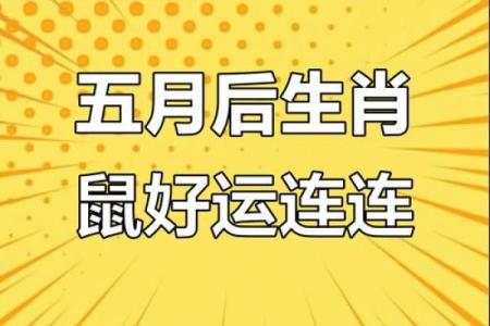 2024年属鼠的运势详解，今年事业和财富有突破吗？