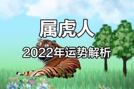 2022年属什么年(2022年属什么年)