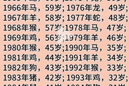 2025年属鼠的人虚岁和周岁分别怎么算，不同年份出生年龄详解？