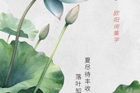 暑气至此而止矣说的是哪一个节气