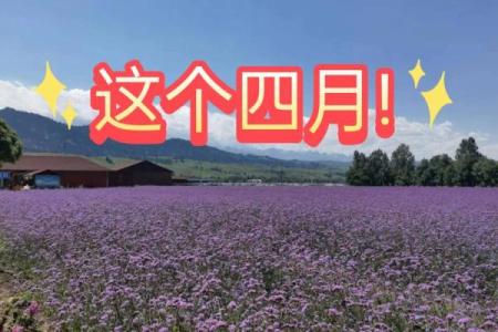 4月是几月 4月是几月