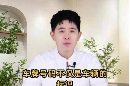 车牌号码测吉凶免费测试、周易车牌号码预测打分、汽车车牌号码测...