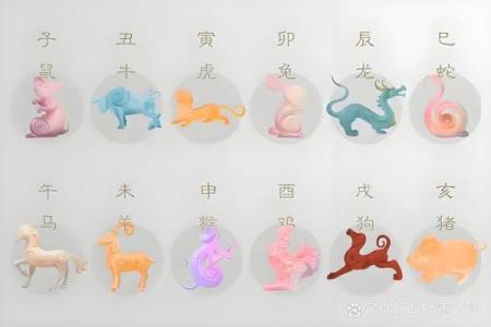 从传统文化角度解析，脱胎换骨真正对应的生肖动物是什么？