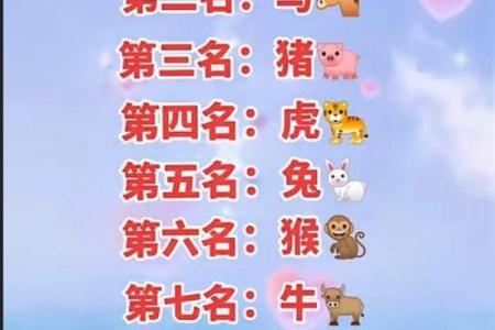 一七指的是什么生肖 一七指的是什么数字