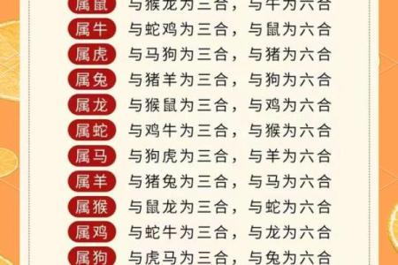 三种属相不能戴朱砂 三种属相不能戴朱砂 化解