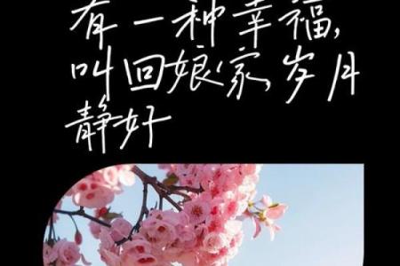 有一种幸福叫回娘家的句子 回到娘家的感慨心情发朋友圈
