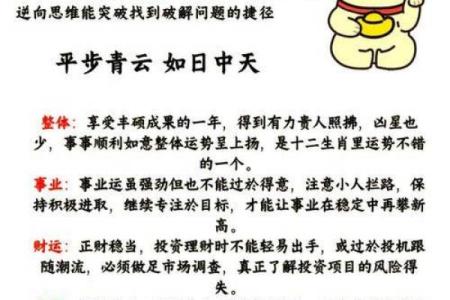 属鼠的是哪年出生的 属兔的是哪年出生的