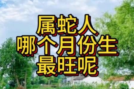 属蛇生在几月最好命 属蛇的几月好