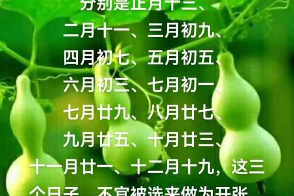 杨公忌日出生的人 杨公忌日出生的人寿命不长吗