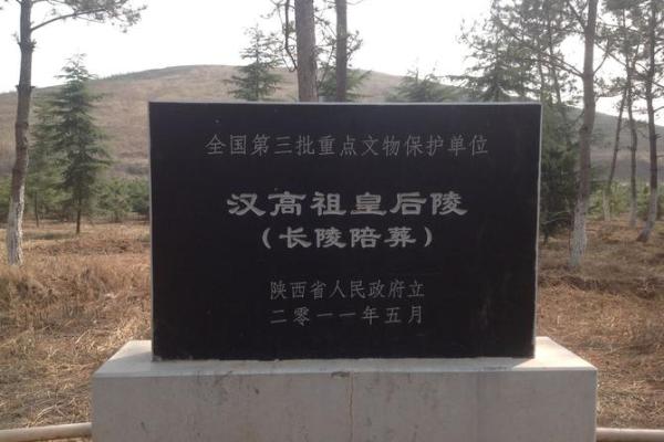 败寇成王指什么生肖(败寇为王意思)