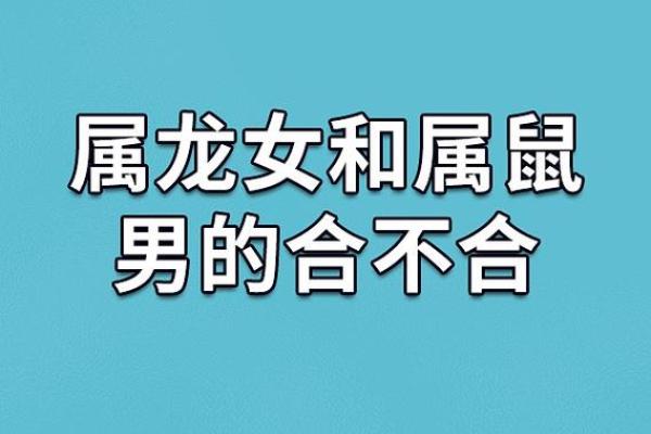夫妻两个都属鼠合不合 夫妻俩人都属鼠好吗