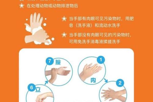 生日是几月几日 手卫生日是几月几日