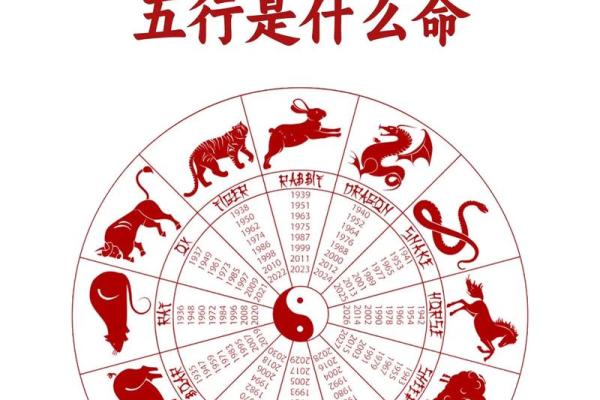 惊不择路是什么生肖