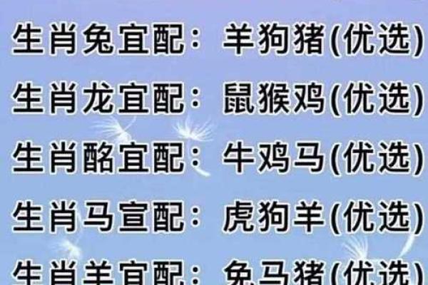 2002年属马的属相婚配表 2002年属马的是什么命婚配
